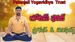 Uses of Padmasana ll correct way to do Padmasana [upl. by Harty390]