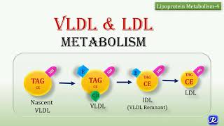 22 VLDL LDL Metabolism  Lipid metabolism  Biochemistry  NJOY Biochemistry [upl. by Geffner]