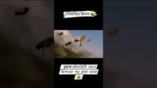 কি অদ্ভুত নিয়ম।🥹বইতে তো অনেক পড়েছো এবার স্বচক্ষে দেখো✅experiment trending [upl. by Dusza]