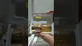 Perfume UnboxingLattafa Musaman White Intense middleeasternperfumes lattafa [upl. by Afinom]