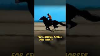 Horses Masters of Speed and Stamina on the Racecourse [upl. by Eissehc]