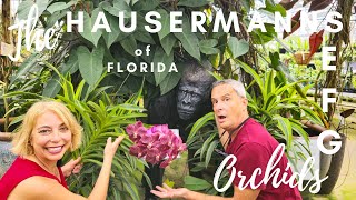 The Hausermanns of Florida E F G Orchids Whats new [upl. by Caesar411]