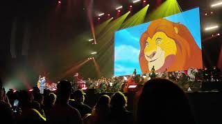 100 ans Disney à Bordeaux Le Roi Lion 🦁 Lhistoire de la vie [upl. by Adnana25]