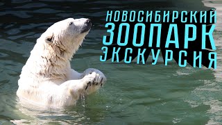 НОВОСИБИРСКИЙ ЗООПАРК  экскурсия [upl. by Octavian]