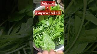 Palakura pachadi  gongura pachadi pudinachutney kothimeerapachadi gongurapickle palakura yt [upl. by Zins2]