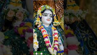 Joy radhe radhe krishna govind bolo re 🌸radheradhe🙏shortsstatusyutubeshorts [upl. by Adnahsal]