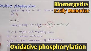 Oxidative Phosphorylation  Class 11 Biology [upl. by Ailaza961]