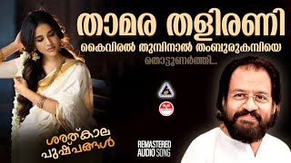 താമര തളിരണി  Thamara Thalirani  Melody Songs Malayalam  Raveendran Master  K J Yesudas Songs [upl. by Knute]