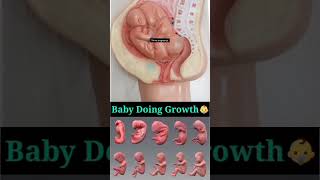 Twins baby growth [upl. by Myra]