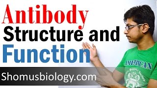 Antibody structure and function [upl. by Auhesoj]