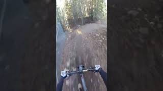 Fun pump track style trail [upl. by Aimo]