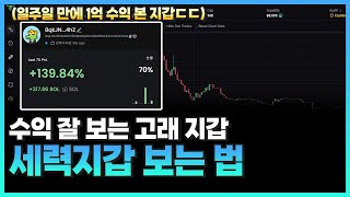 quot일주일 만에 1억 수익quot 매매 잘하는 지갑 찾는 법 feat밈코인 불장 [upl. by Annaeel]