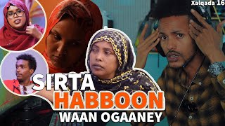 Sirta HABBOON Waan Ogaaney WareerampAmakaag Musalsalka Habboon 16  ArimaHeena Highlights 2722 [upl. by Aneel]