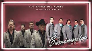 Los Tigres Del Norte Y Los Caminantes  Lo Mejor De Rancheras Mix [upl. by Yelyak536]