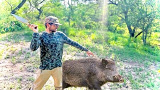 I Got A HOG Throwing A KNIFE [upl. by Nolan]