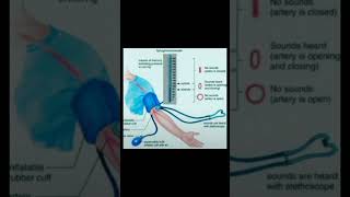 Sphygmomanometermedicalnursingnursingstudentbpshortvideo [upl. by Grier]