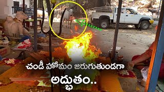 Chandi Homam  Praveen Telugu Traveller  ప్రవీణ్ తెలుగు ట్రావెలర్ ఛానల్ అద్వర్యం లో చండీ హోమం [upl. by Zetra]