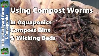 Using compost worms around the yard Wicking worm beds Aquaponics amp compost [upl. by Atikel496]