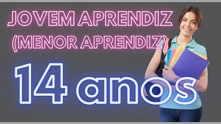 Jovem aprendiz com 14 anos como conseguir vaga de menor aprendiz  Alexandre Custódio [upl. by Hilten761]