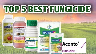 TOP 5 BEST FUNGICIDE  Vlog15 [upl. by Nahc]