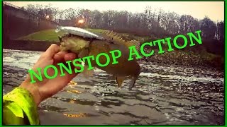 Shenango River Fishing NONSTOP ACTION [upl. by Janeen]