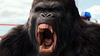 Gorilla vs Helicopter Scene  Bridge Battle  Rise of the Planet of the Apes 2011 Movie Clip HD [upl. by Joh963]