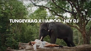 Tungevaag Liamoo  Hey DJ Official Music Video [upl. by Kanya139]