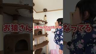 【春休み】春から小学生の娘と猫！遊ぶ姿にホッコリ 春休み 猫 新一年生 [upl. by Buchheim]