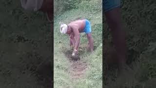 farming vyavsayshortsvideo [upl. by Harbour]