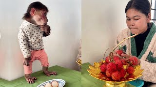 See this funny monkey Icy Are Eating Snack With Mom cute monkey animals eating [upl. by Eimaj503]