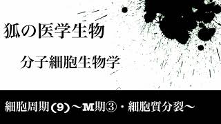 分子細胞生物学76 細胞周期9〜M期③・細胞質分裂〜 [upl. by Nymrak]