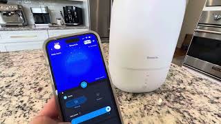 GoveeLife Smart Humidifiers for Bedroom 3L Top Fill Cool Mist Humidifiers Review [upl. by Deyas]