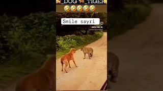 Use your headphones 🎧🤣🤣 youtubeshorts funny viralshort subscribe mrbeastedit [upl. by Sorel]