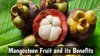 Mangosteen fruit benefits in telugu  How to eat mangosteen in telugu  Kadiyala Mamatha [upl. by Aliakam]