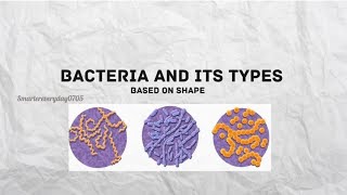 Bacteria and its types based on shape [upl. by Palma]