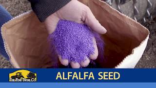 Alfalfa Seed — The Fine Twine Co [upl. by Anaihk152]