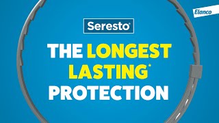 The Longest Lasting Flea amp Tick Protection with Seresto Now That Doesnt Suck 15s [upl. by Arretnahs765]