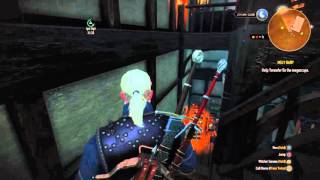 Enhanced Feline trousers location Well explained English  The Witcher 3 [upl. by Gagliano]