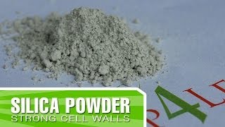 Organic Silica from Kelp4lesscom  Improve your plants structure and cell walls [upl. by Odlanier]