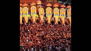 Thrissur pooram HD whatsapp status  Kantha njanum varam shorts [upl. by Eteragram]