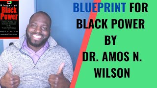 Blueprint For Black Power by Dr Amos Wilson [upl. by Tenney]