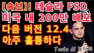 속보 테슬라 FSD 미국 내 200만 배포 Paril Jain  FSD V124 아주 훌륭하다  Tesla 당장은 이것이 중요  테슬라 투자 [upl. by Tsui234]