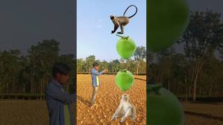 Bandar band bajana Aaye dog cat amp vfx short video vira l [upl. by Ennyletak]