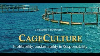 CAGE CULTURE  An Aquaculture Documentary [upl. by Nnairet46]