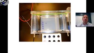 Agarose Gel Electrophoresis [upl. by Pet]