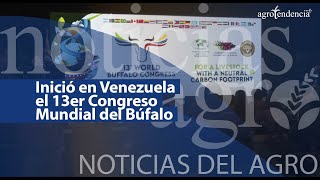 🔴 Inició en Venezuela el décimo tercer congreso mundial del búfalo  NDA [upl. by Eihtur]