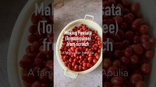 Making Passata Tomato Puree from scratch A family affair in Apulia 🍅 tomatopuree tomatosauce [upl. by Tamarra]