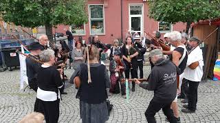 Rudolstadt Festival 2024 Pipenbock Orchester Teil 1 [upl. by Virgilia723]