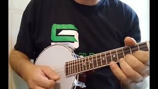 Alexanders Hornpipe  Banjolin  Mandolin Banjo  Mandobanjo celticmusic celtic [upl. by Osana]