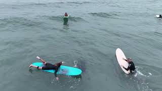 July 11 2024 Complete Raw Unedited Drone Sammy the Seal Surfing Session [upl. by Neelram]